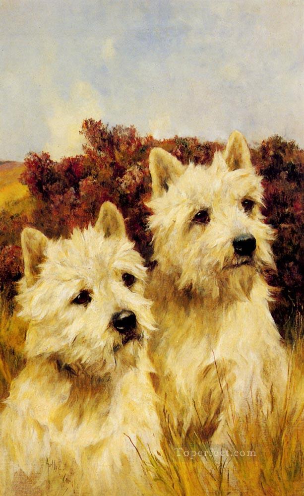 Jacque et Jean Champion Westhighland White Terriers animal Arthur Wardle Chien Peintures à l'huile